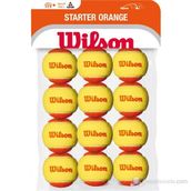Wilson WRT137200 Starter Play 12 Li Tenis Topu