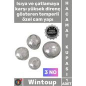 Wintoup #hacamat Isıya Dayanıklı Profesyonel Hijyenik Vakumlu Kaliteli Şeffaf Cam Hacamat Kupası 3 No 1 Adet - Çok Renkli