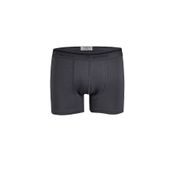 Yıldız 369 Füme Formen Likralı Boxer