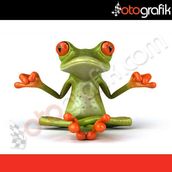 Yoga Yapan Kurbağa Oto Sticker