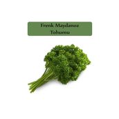 Zencefil Organik 10 gr Kıvırcık Frenk Maydanoz Tohumu