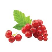 125 gr Frenk Üzümü