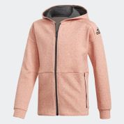 Adidas CG2088 Stadium Fz Erkek Sweatshirt