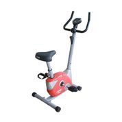 Altis Mentor Dikey Bisiklet