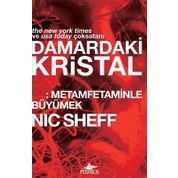 Damardaki Kristal Metamfetaminle Büyümek Nic Sheff Pegasus Yayınları