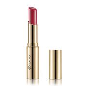 Flormar Deluxe Cashmere Stylo DC23 Lipstick