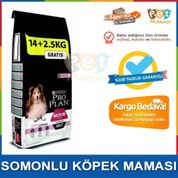 Pro Plan Somonlu Sensitive 16.5 kg Yetişkin Köpek Maması