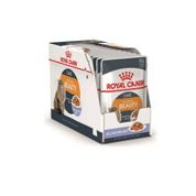 Royal Canin İntense Beauty Jelly 12x85 gr Kedi Konserve
