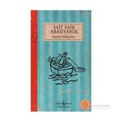 SAIT FAIK ABASIYANIK SEÇME HIKAYELER - SAIT FAIK ABASIYANIK
