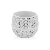 Serinova 0,13 lt Beyaz 3 Adet Kaktüs Saksı