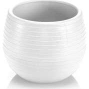 Serinova ES01 Elvan 0.13 lt Bitki ve Kaktüs Saksısı