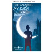 Stefan Zweig Ay Işığı Sokağı