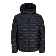 .Jack & Jones 12238600 Siyah Erkek Ceket