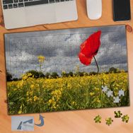 047 Kırlarda Kırmızı Gelincik Çiçeği 240 Parça Puzzle Yapboz Tablo