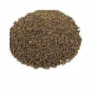 1 kg Faselya-Arı Otu Tohumu