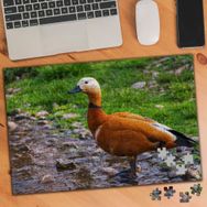 106544 Güzel Ördek 240 Parça Puzzle Yapboz