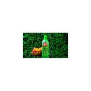 1200 ml Çiçeksiz Süs Bitkileri İçin Çiçek Coşturan