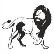 130 cm Aslan Lion Folyo Sticker