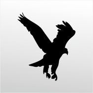 130 cm Kartal Folyo Sticker