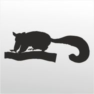 130 cm Kokarca Folyo Sticker