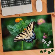 1391809 Yeşillikler İçindeki Kelebek 240 Parça Puzzle Yapboz
