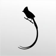 160 cm Hint Bülbülü Folyo Sticker