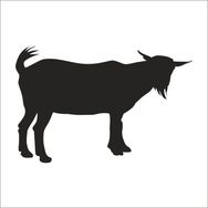 160 cm Keçi Folyo Sticker