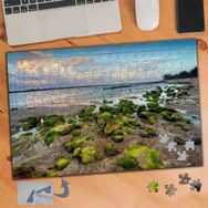 182 Yosun Tutmuş Taş ve Deniz Manzara 240 Parça Puzzle Yapboz Tablo