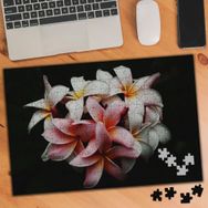 1851480 Beyaz Pembe Çiçek 240 Parça Puzzle Yapboz