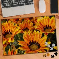 1853562 Turuncu Görkemli Çiçek 240 Parça Puzzle Yapboz
