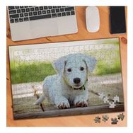 1903313 Tatlı Beyaz Yavru Köpek 240 Parça Puzzle Yapboz