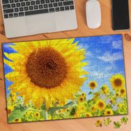 19706459 Ayçiçeği Tarla Manzarası 240 Parça Puzzle Yapboz