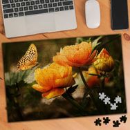 19830 Ahenkli Çiçek ve Kelebek 240 Parça Puzzle Yapboz