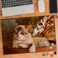 1995961 Uyuyan Sevimli Kedi 240 Parça Puzzle Yapboz