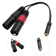 20 cm 3.5 mm Stereo Dişi-2 Xlr Erkek Kablo