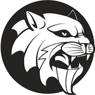 20 cm Aslan 8 Folyo Sticker