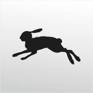 200 cm Çöl Tavşanı Folyo Sticker