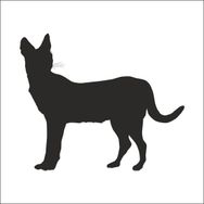 200 cm Vaşak Folyo Sticker