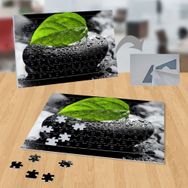 21926770 Islak Taş Bitki Doğa 99 Parça Puzzle Yapboz Tablo