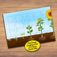 22389 Toprak ve Çiçek Büyüme Evresi Çocuklara Özel Puzzle Yapboz Tablo