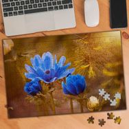 2396299 Mavi Dağ Gelincik Çiçeği Bitki 240 Parça Puzzle Yapboz