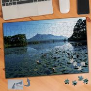 252 Göldeki Nilüfer Çiçekleri 240 Parça Puzzle Yapboz Tablo