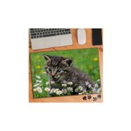 2948404 Papatyalara Şaşıran Kedi 240 Parça Puzzle Yapboz
