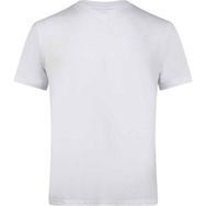 2AS 2ASVICMFBSS24 Victor Viloft V Yaka Karışık Erkek T-shirt