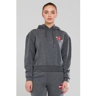 2AS Every Antrasit Melanj Kadın Kapüşonlu Sweatshirt