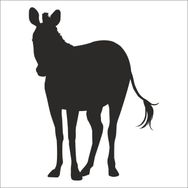30 cm Zebra Folyo Sticker