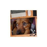 3071334 Duygu Bakışlı Yavru Köpek 240 Parça Puzzle Yapboz