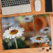 3184889 Kır Papatyası 240 Parça Puzzle Yapboz