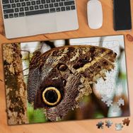 3216494 Ağaçtaki Kelebek 240 Parça Puzzle Yapboz