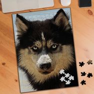 3380548 Sevimli Kurt Köpeği 240 Parça Puzzle Yapboz